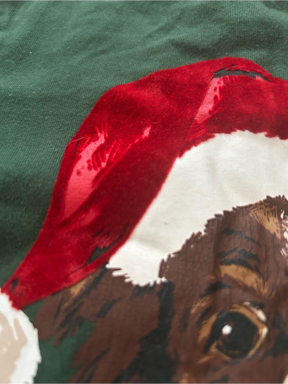 Tommy Bahama Kids Boys XS (4) Green Holiday Dog Santa Hat Graphic Tee Shirt - Picture 3 of 6